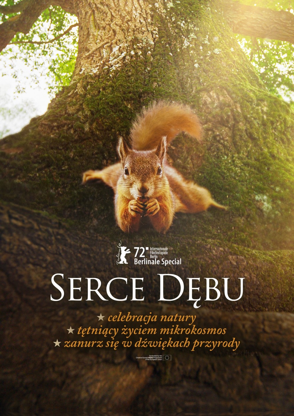 serce_dębu