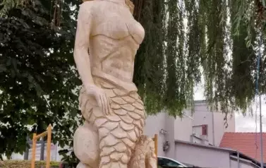 006