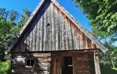 031