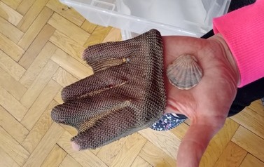 293753196_1191351864983328_4727429637224529364_n