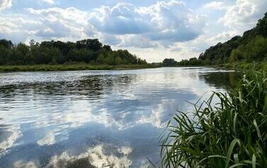 161
