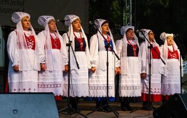 MSZ_9135