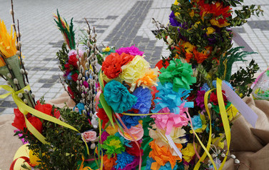 DSC00755_m