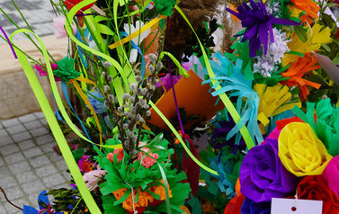 DSC00751_m