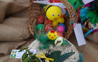 DSC00733_m