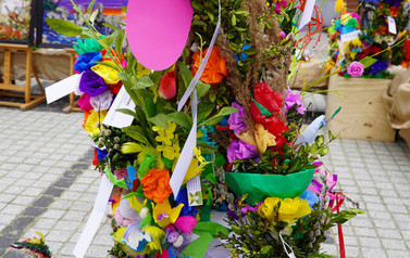 DSC00769_m