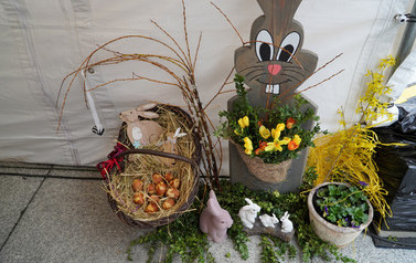 DSC00898_m
