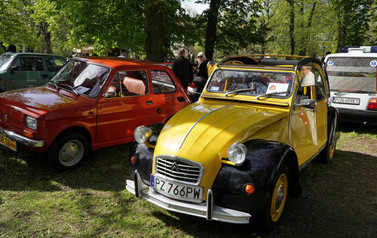 DSC02914_m
