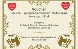 voucher - psi fryzjer