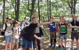 40