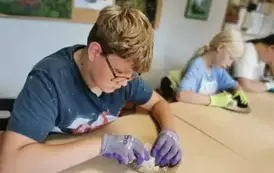 056