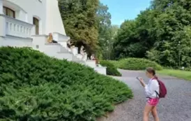 v11
