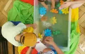 017