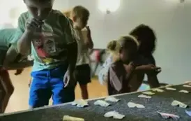 006
