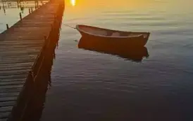 098
