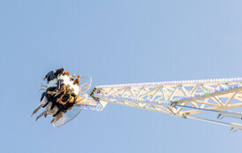 20260712-J_W_9130