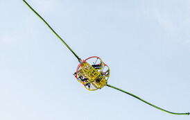 20260712-J_W_9099