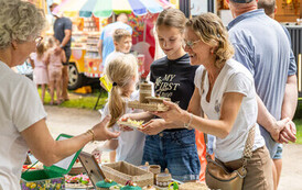 20260711-J_W_6658