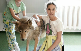 DSC04464_m