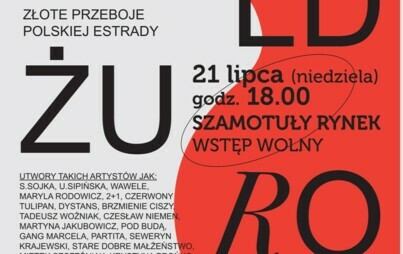 Zdjęcie do Koncertowe Lato 2024 &mdash; WITEK ŻUROMSKI