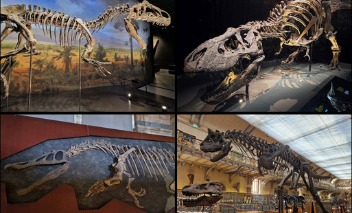 Zdjęcie do Paleontologia w maju: "Teropody - zębate bestie"