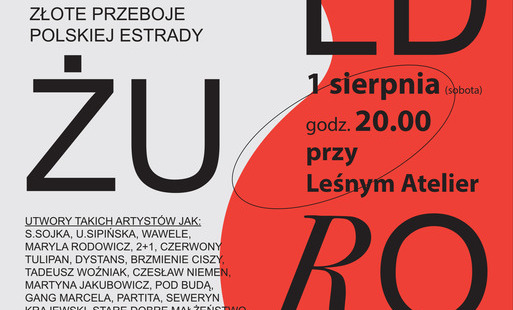 Zdjęcie do Koncertowe Lato 2026 SZOK: Witold Żuromski